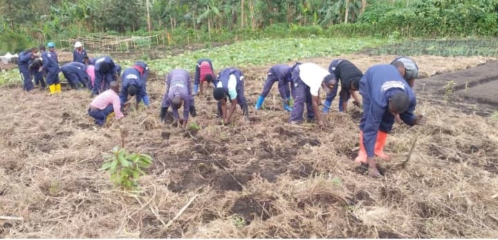 Agriculture Programs